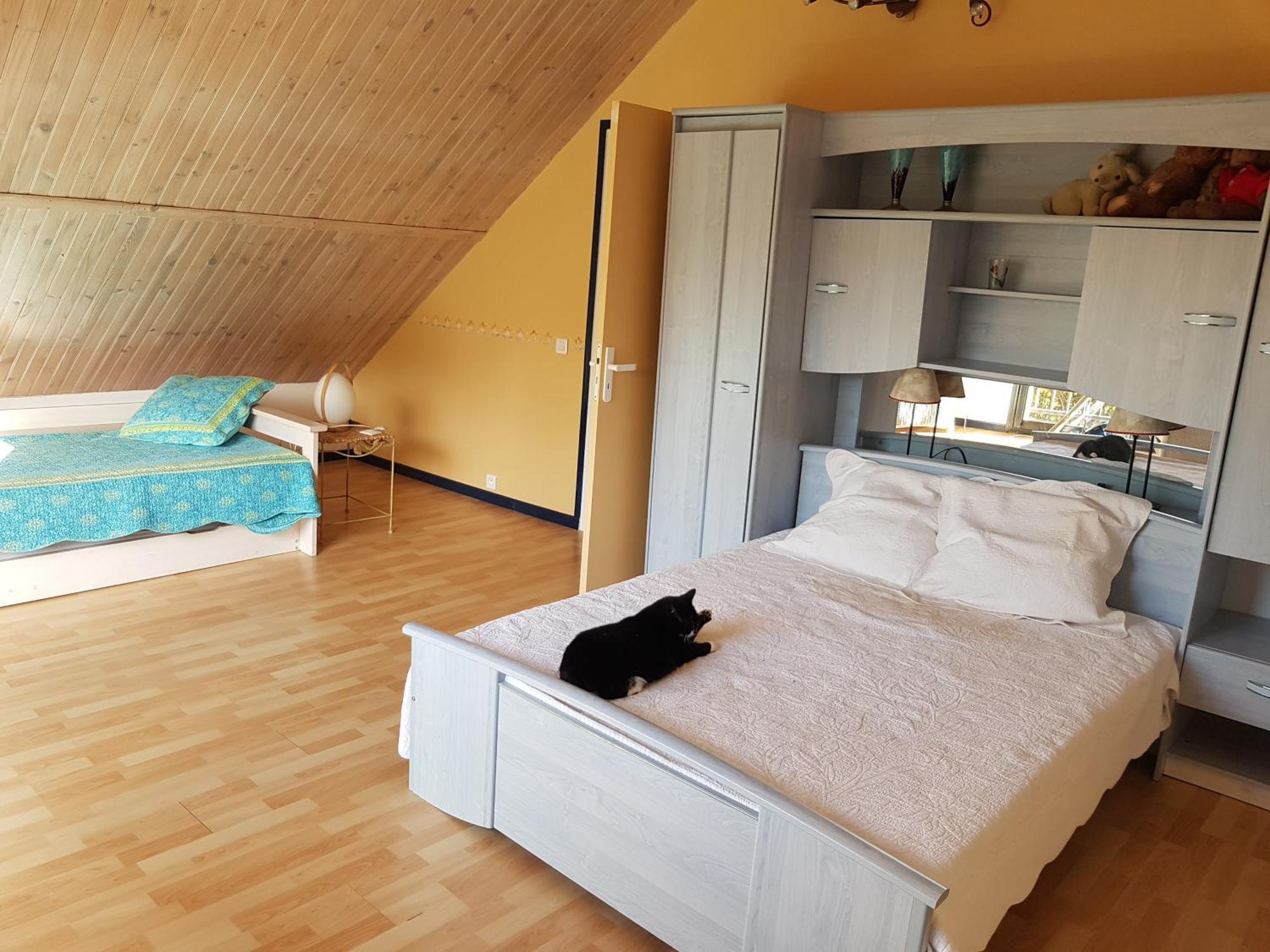 Les Pinguelles Bed and Breakfast Le Donjon Esterno foto